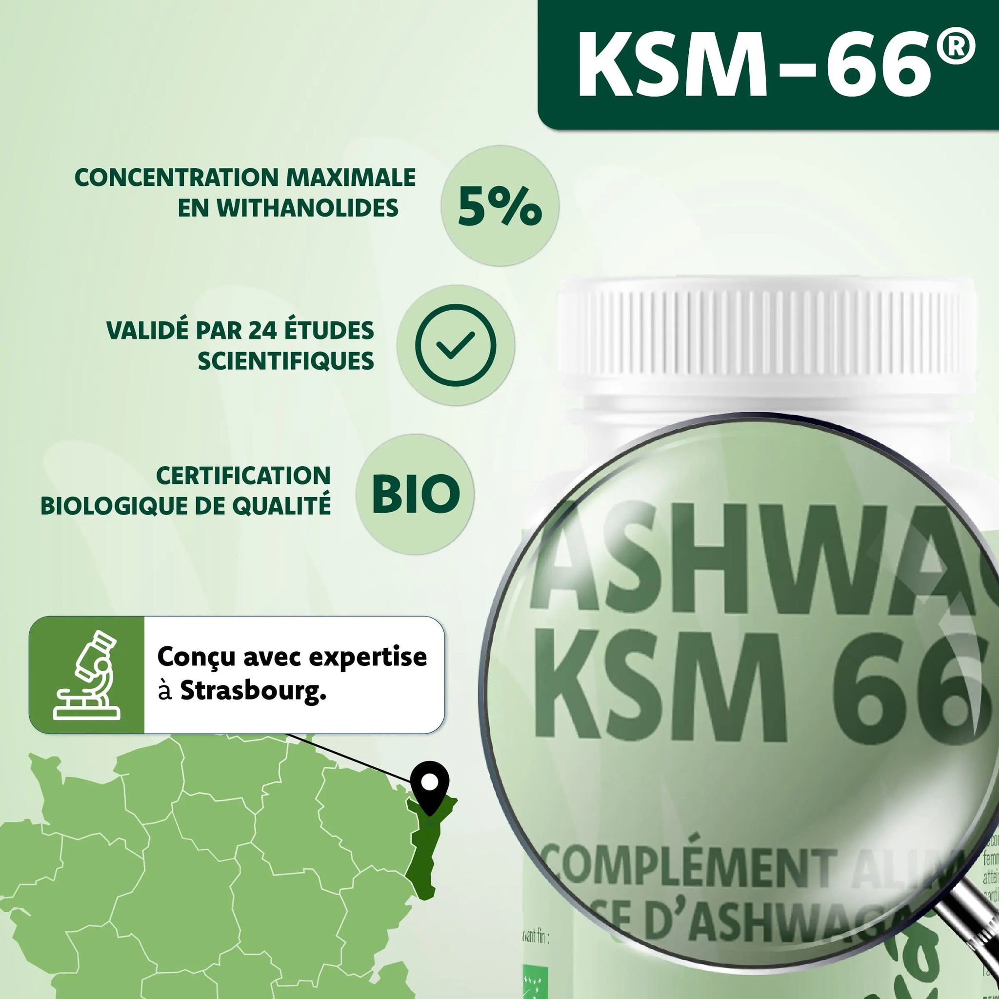 Ashwagandha KSM-66 Likama avec 5 % de withanolides, validée par 24 études, certifiée bio, conçue à Strasbourg