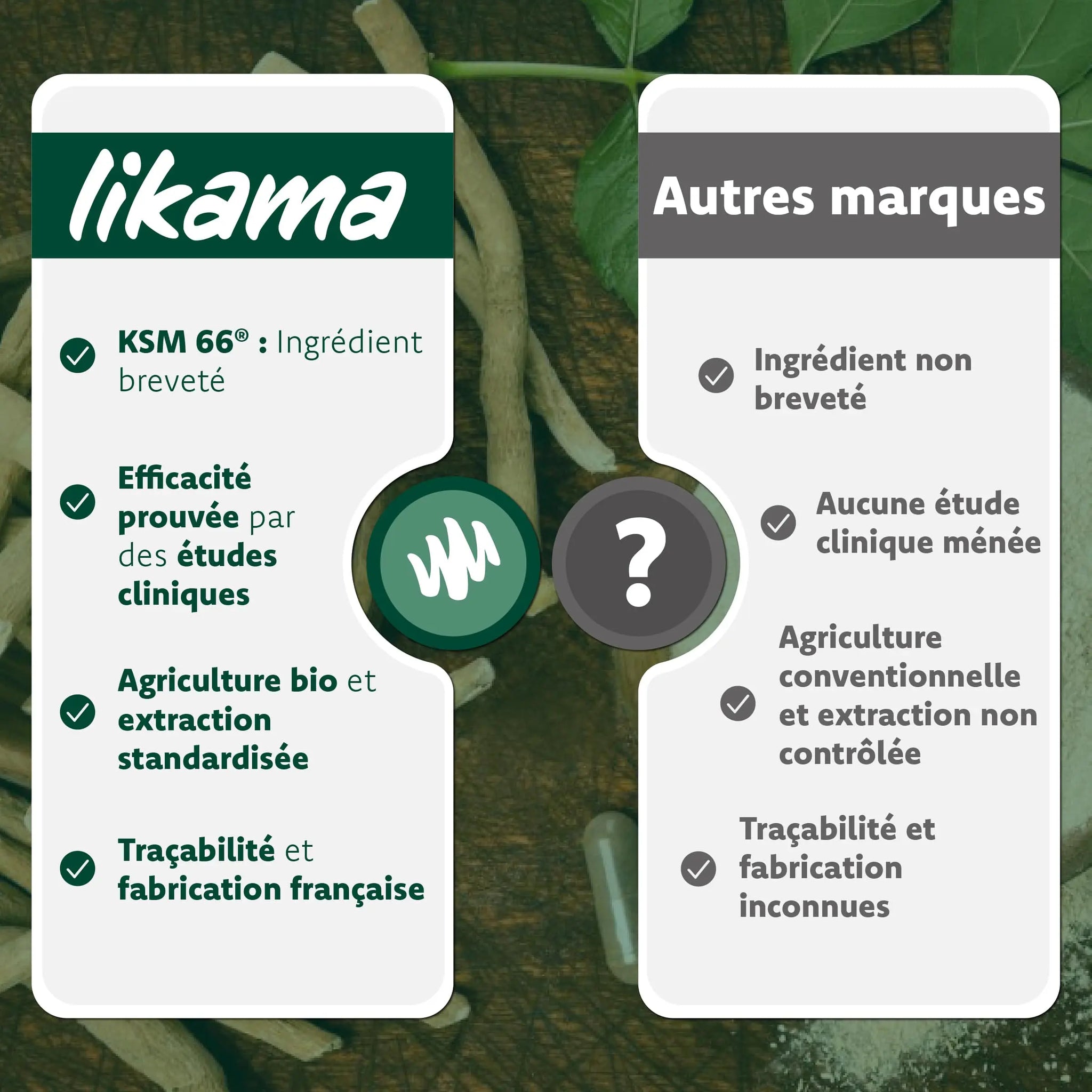 Comparatif entre l’Ashwagandha KSM-66 Likama et les autres marques : efficacité, traçabilité, agriculture bio et brevet KSM-66