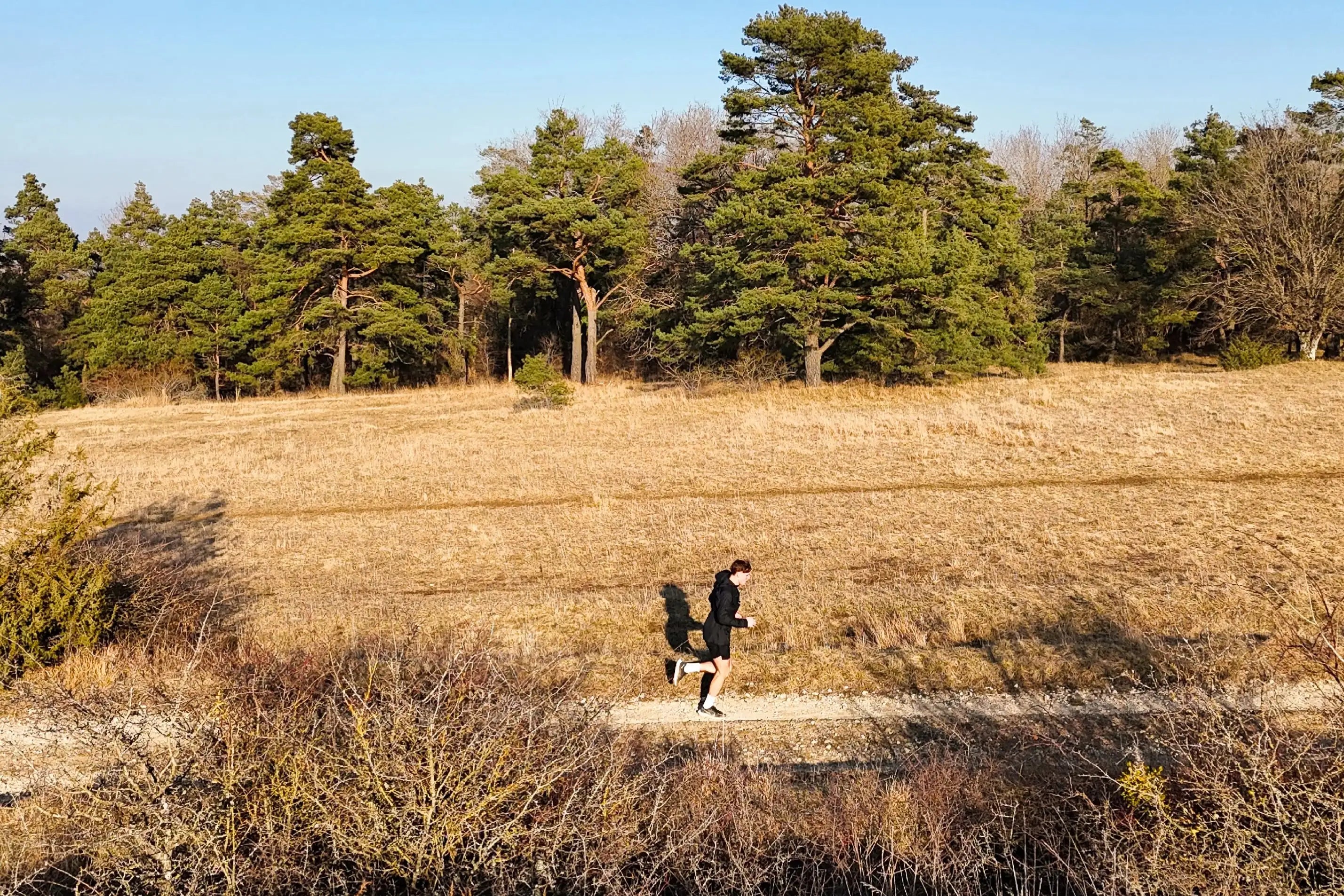coureur en pleine nature illustrant la philosophie santé et bien-être de la marque Likama