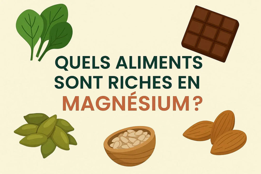image carrée représentant graines, chocolat noir, épinards et amandes comme sources naturelles de magnésium dans une infographie stylisée