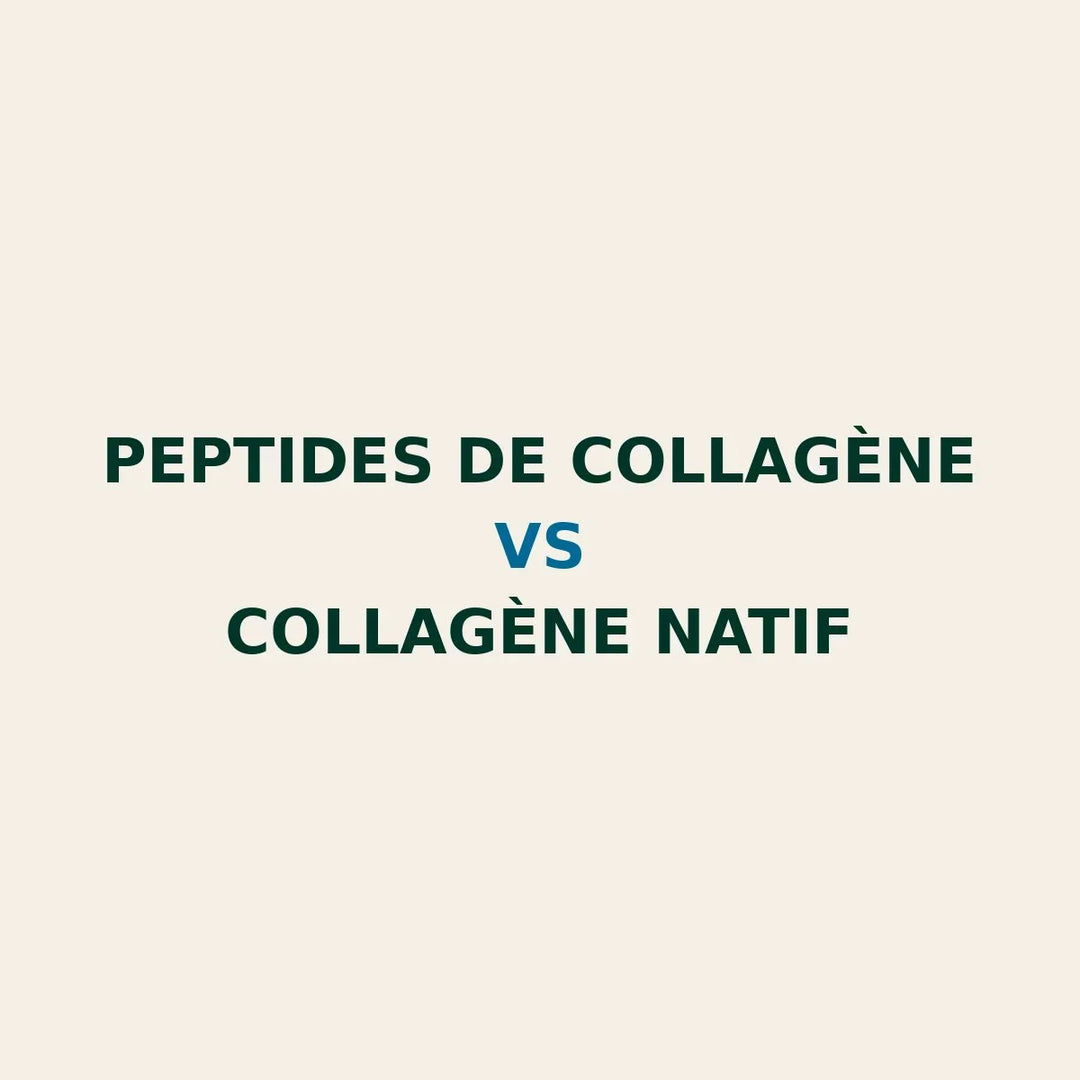 image SEO illustrant la différence entre peptides de collagène hydrolysé et collagène natif pour optimiser la régénération de la peau et des articulations